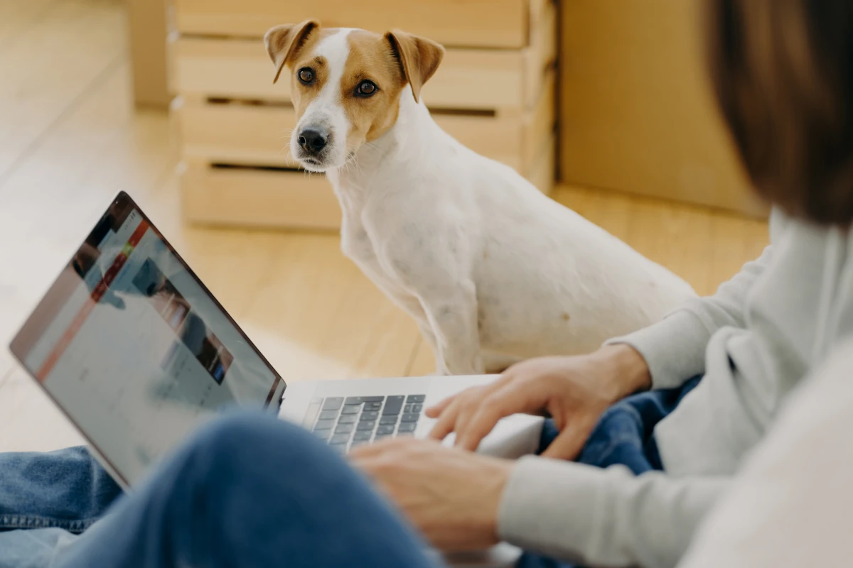 Résilier une box internet: démarches, pièges à éviter et conseils d'expert